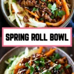 Spring Roll Bowl 18 Pinterest Hidden Image